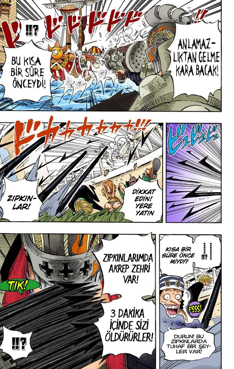 One Piece - Bölüm 494 - Sayfa 13