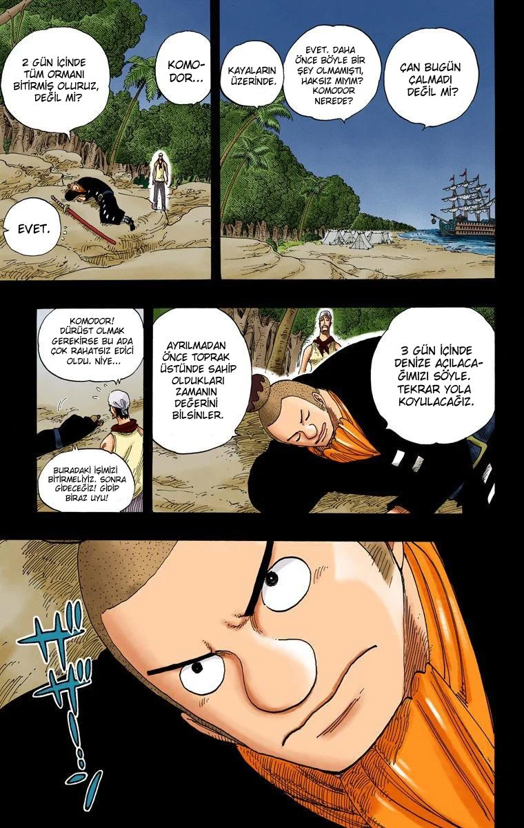 One Piece - Bölüm 290 - Sayfa 18