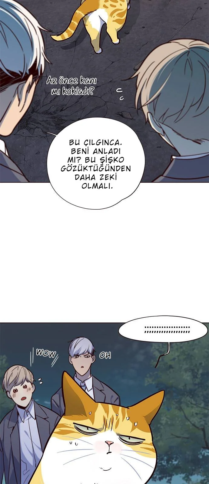 Eleceed - Bölüm 41 - Sayfa 35