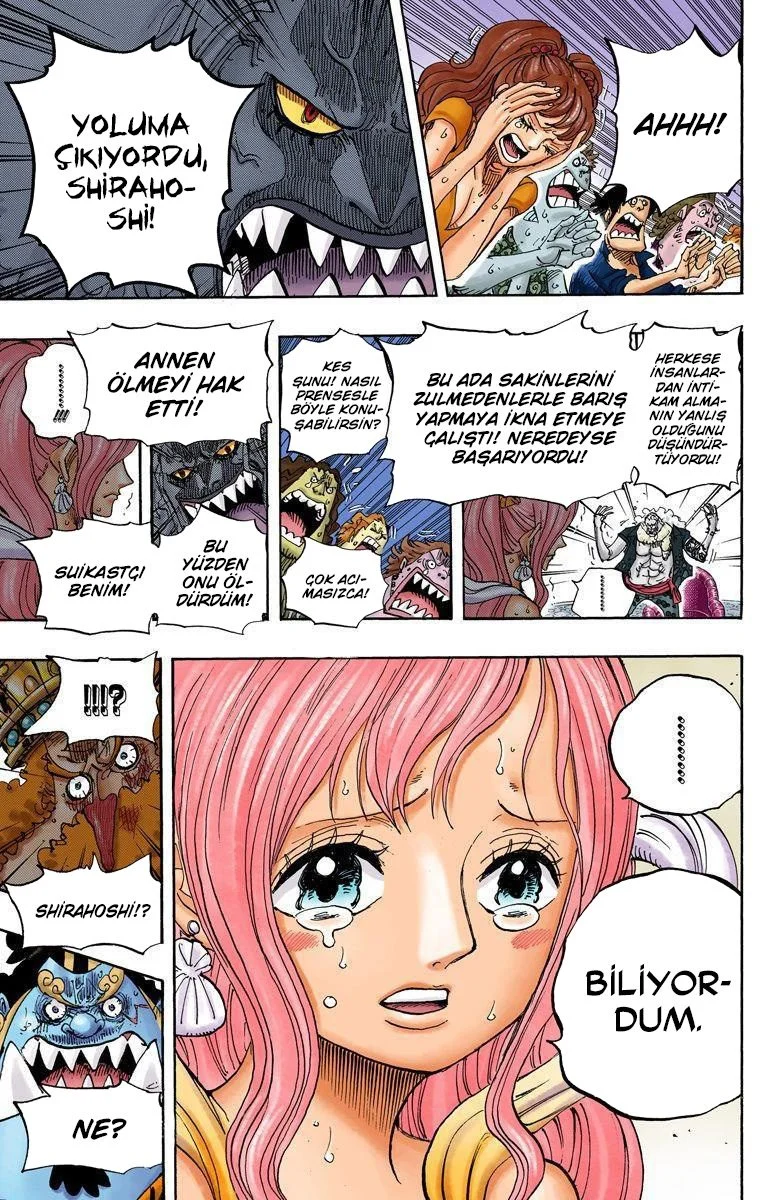 One Piece - Bölüm 632 - Sayfa 15