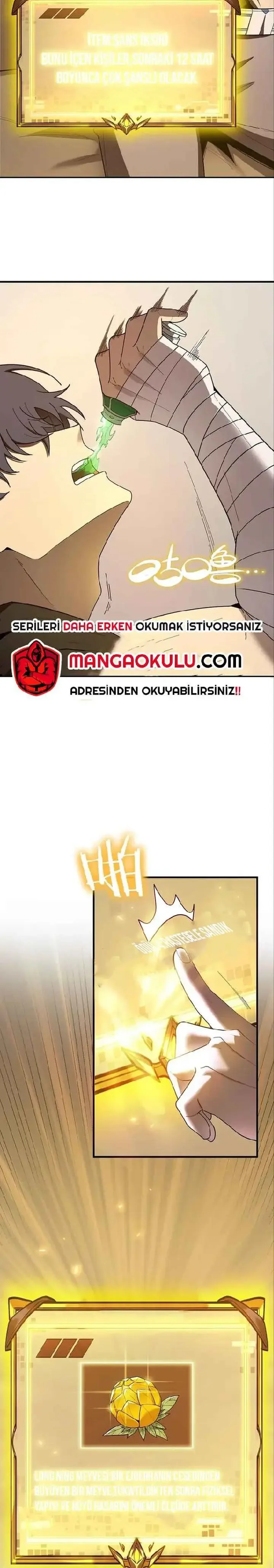 SSS-Rank Paladin Who Transcends Common Sense - Bölüm 22 - Sayfa 17
