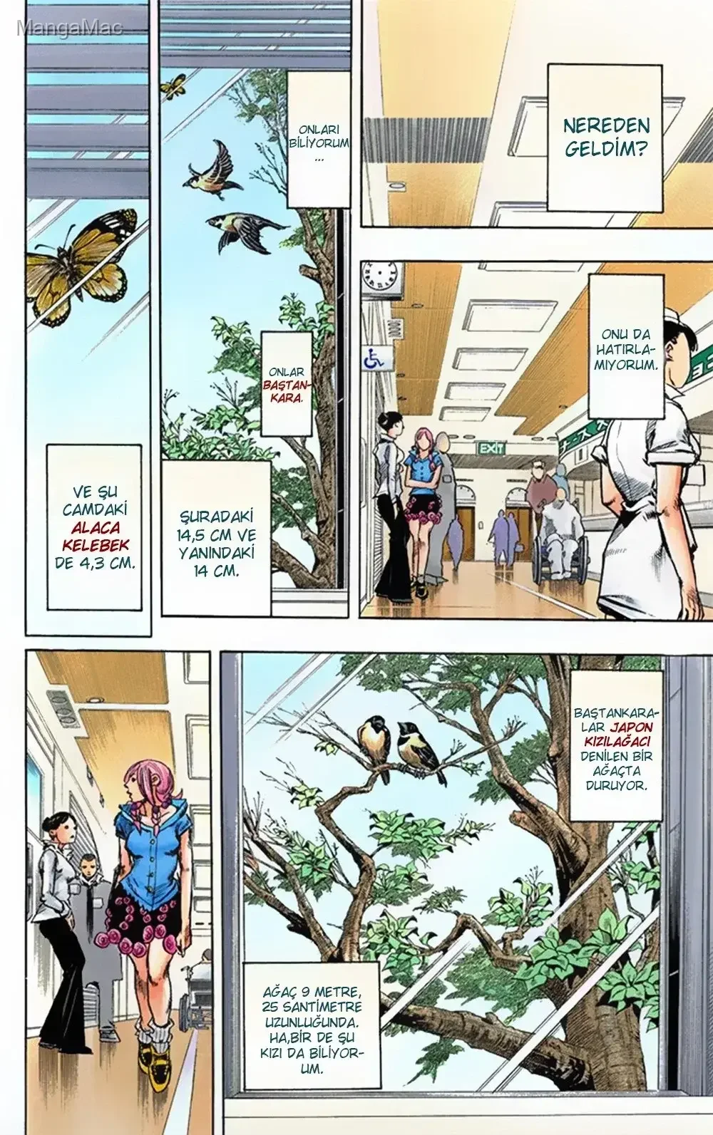 JoJo's Bizarre Adventure Part 8: JoJolion - Bölüm 2 - Sayfa 4