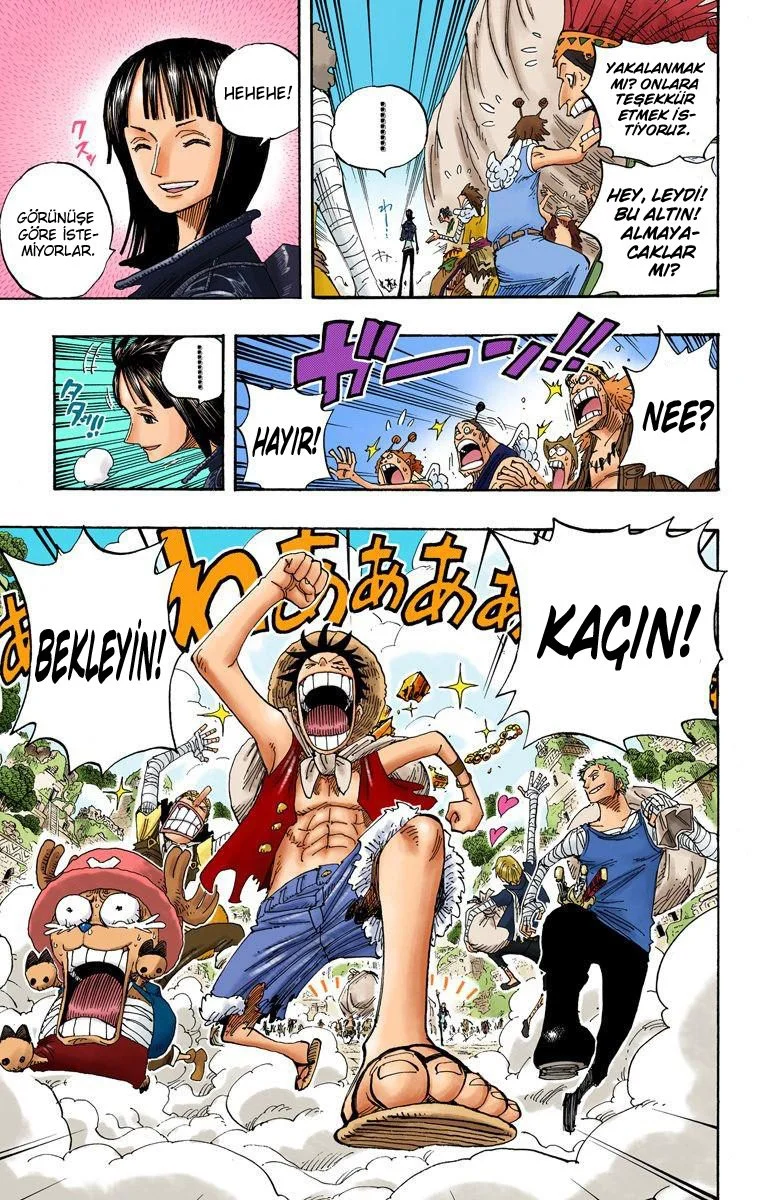 One Piece - Bölüm 301 - Sayfa 19
