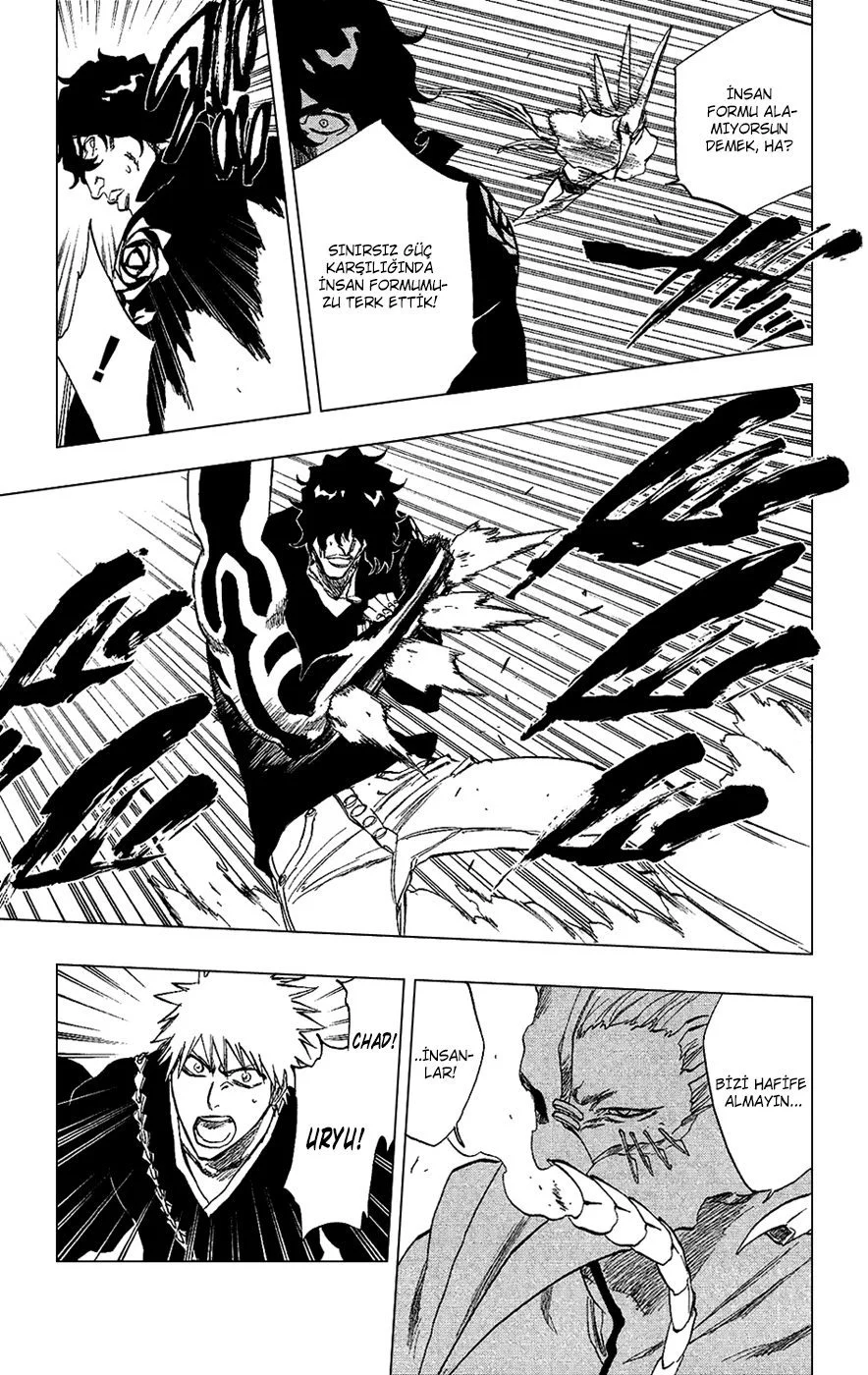 Bleach - Bölüm 242 - Sayfa 13