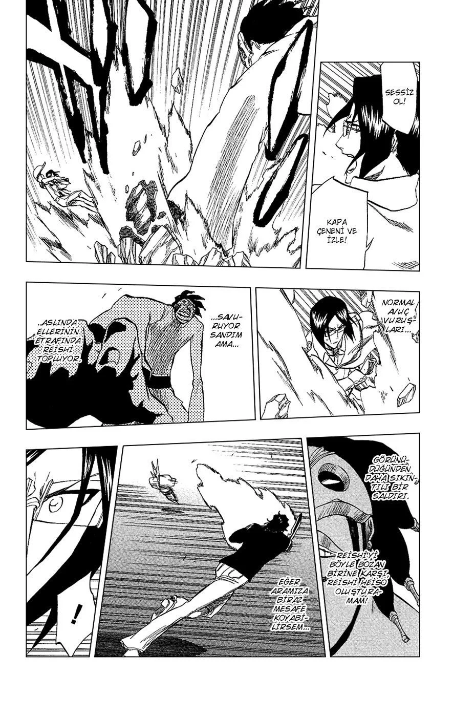 Bleach - Bölüm 242 - Sayfa 14