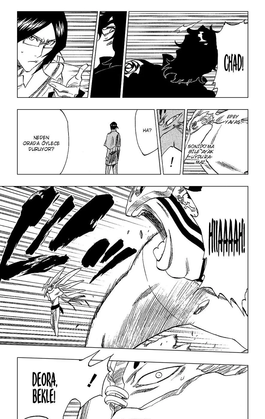 Bleach - Bölüm 242 - Sayfa 15