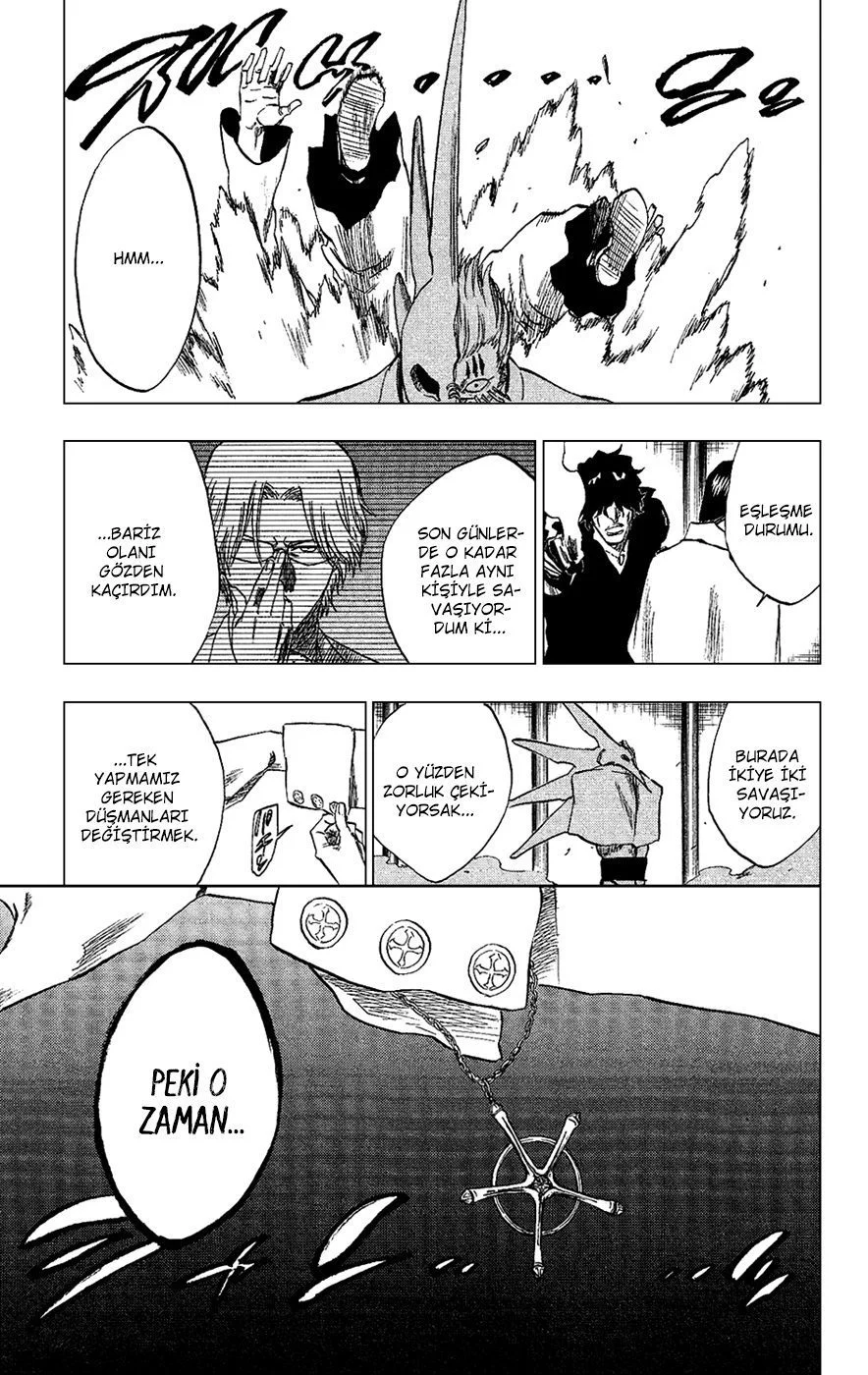 Bleach - Bölüm 242 - Sayfa 17