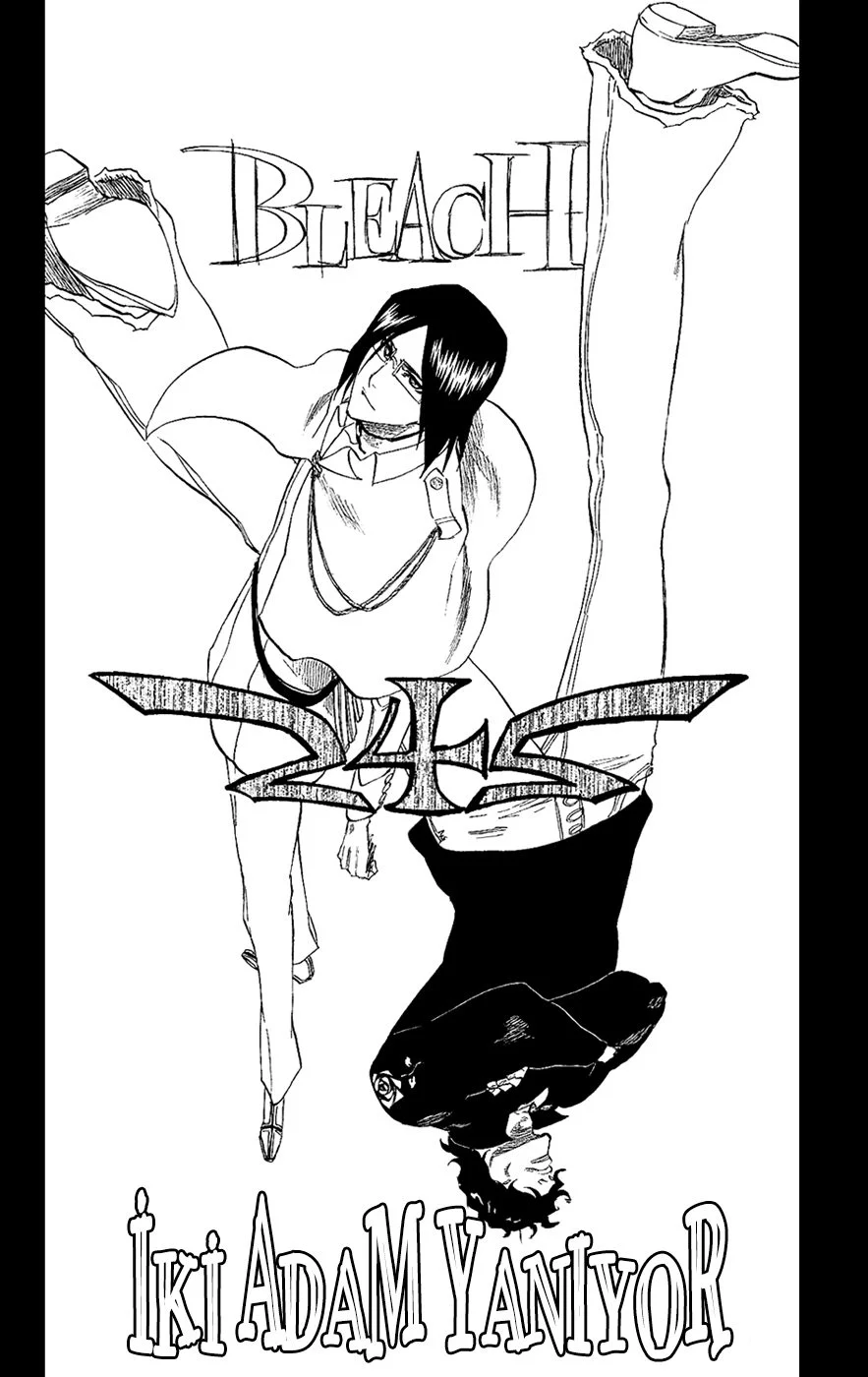 Bleach - Bölüm 242 - Sayfa 6
