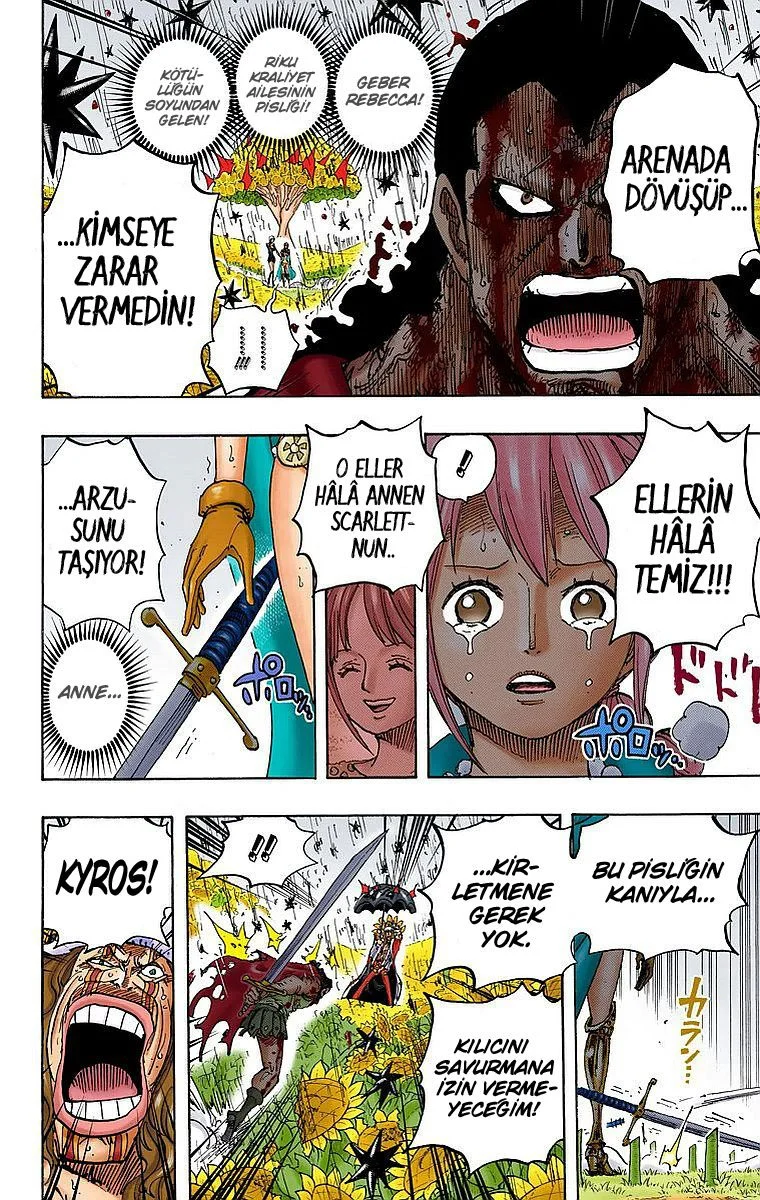 One Piece - Bölüm 776 - Sayfa 13