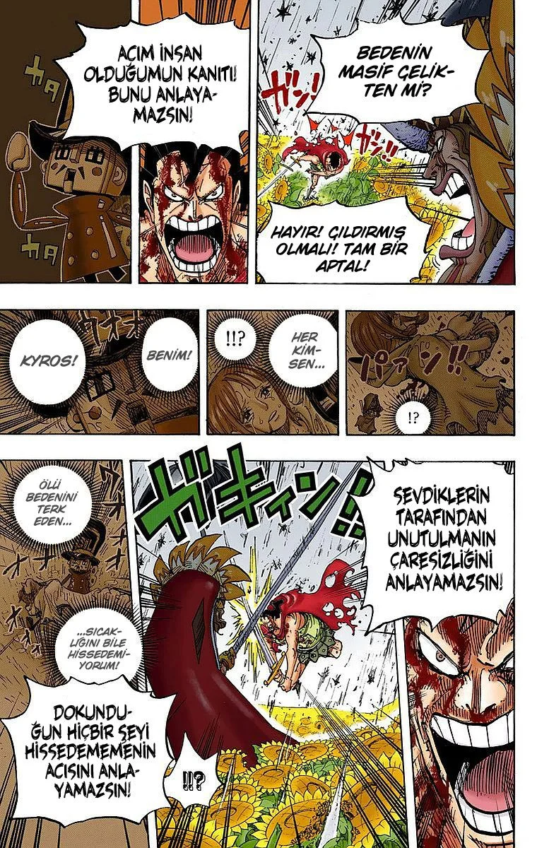 One Piece - Bölüm 776 - Sayfa 14