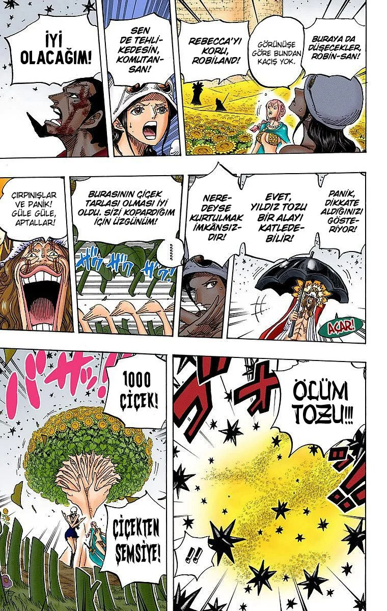 One Piece - Bölüm 776 - Sayfa 8