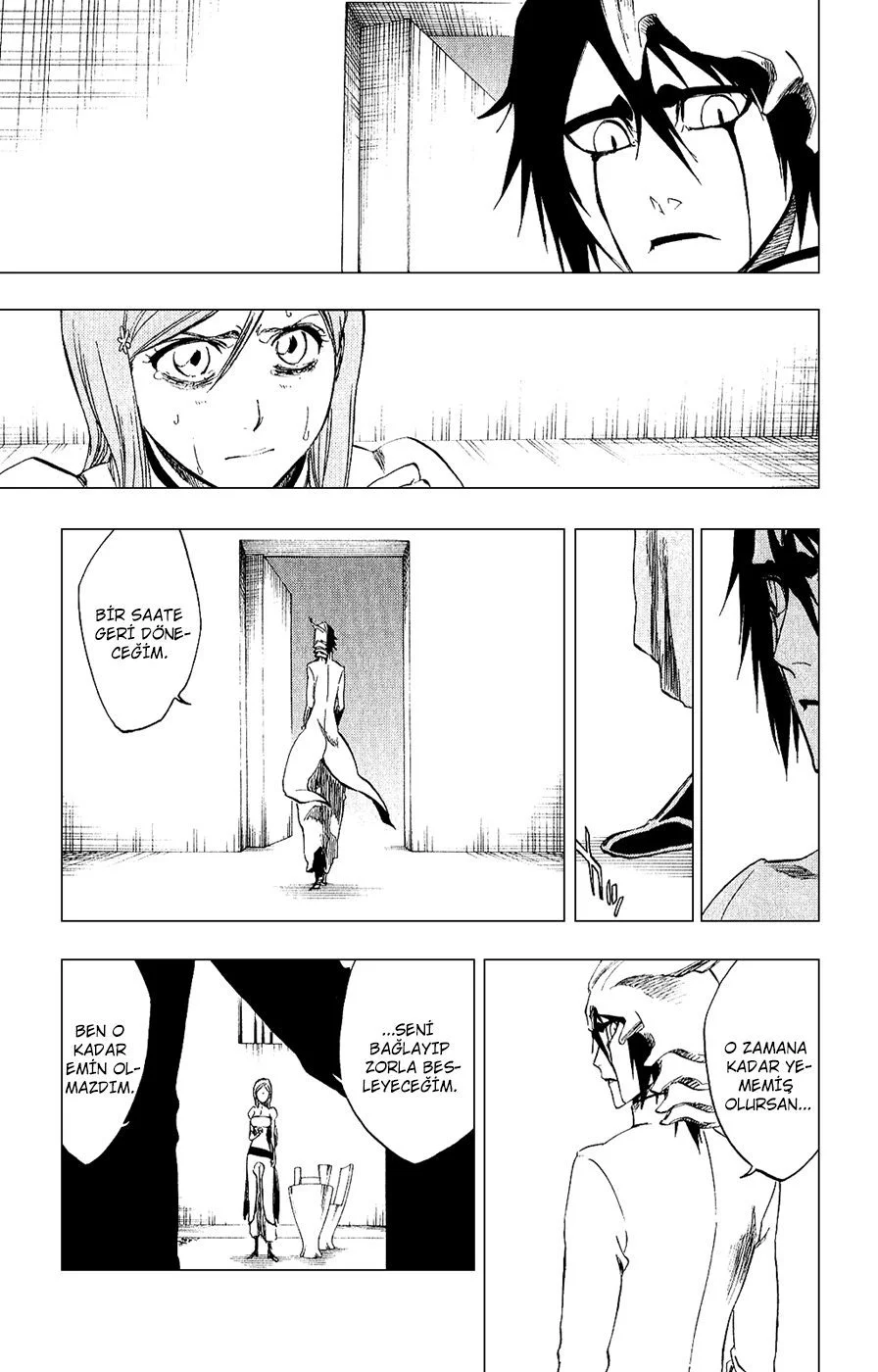 Bleach - Bölüm 262 - Sayfa 13