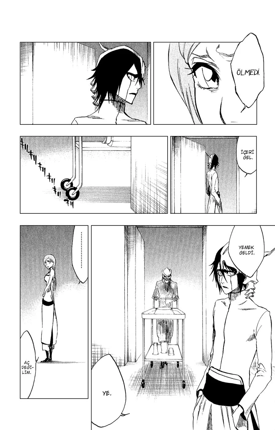 Bleach - Bölüm 262 - Sayfa 8