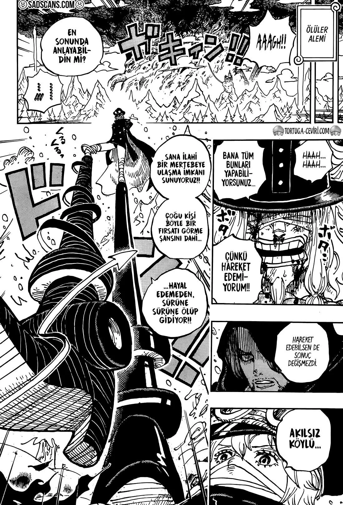 One Piece - Bölüm 1137 - Sayfa 11