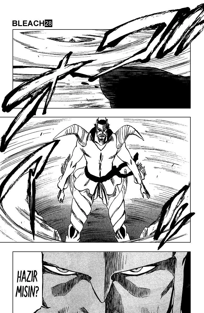 Bleach - Bölüm 251 - Sayfa 15