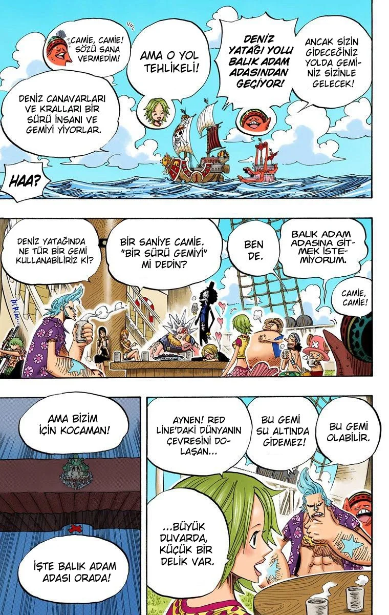 One Piece - Bölüm 496 - Sayfa 11