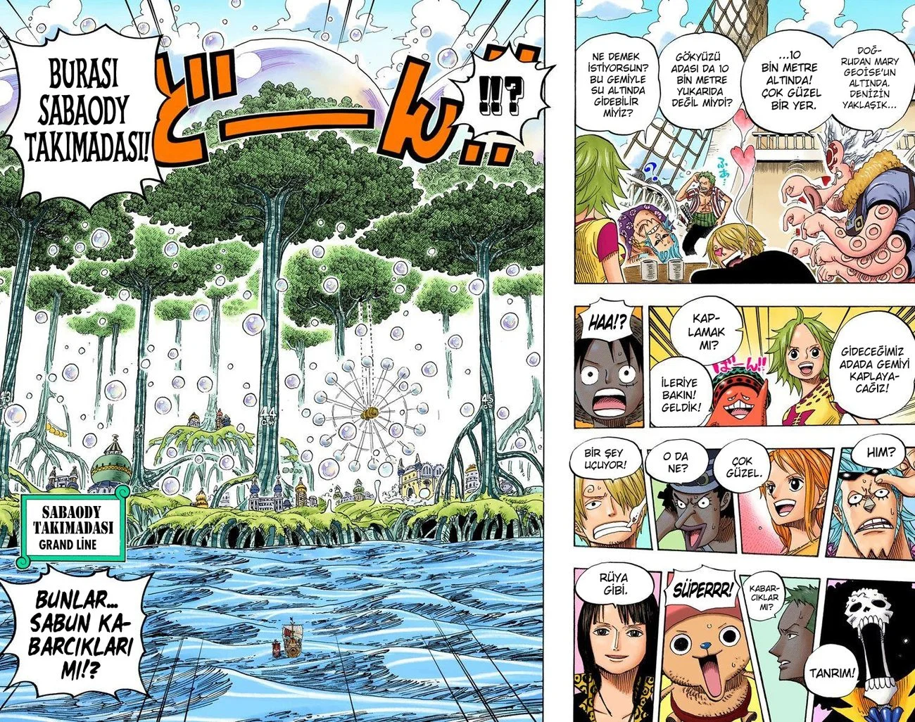 One Piece - Bölüm 496 - Sayfa 12