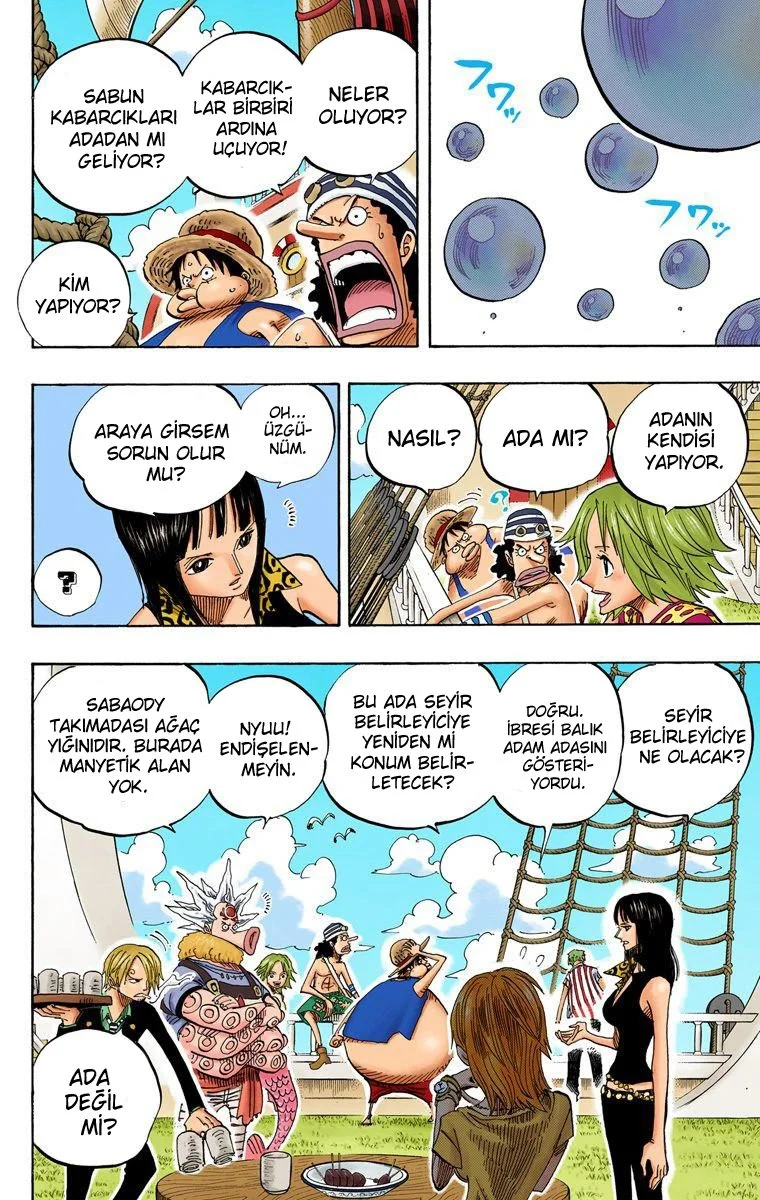 One Piece - Bölüm 496 - Sayfa 13
