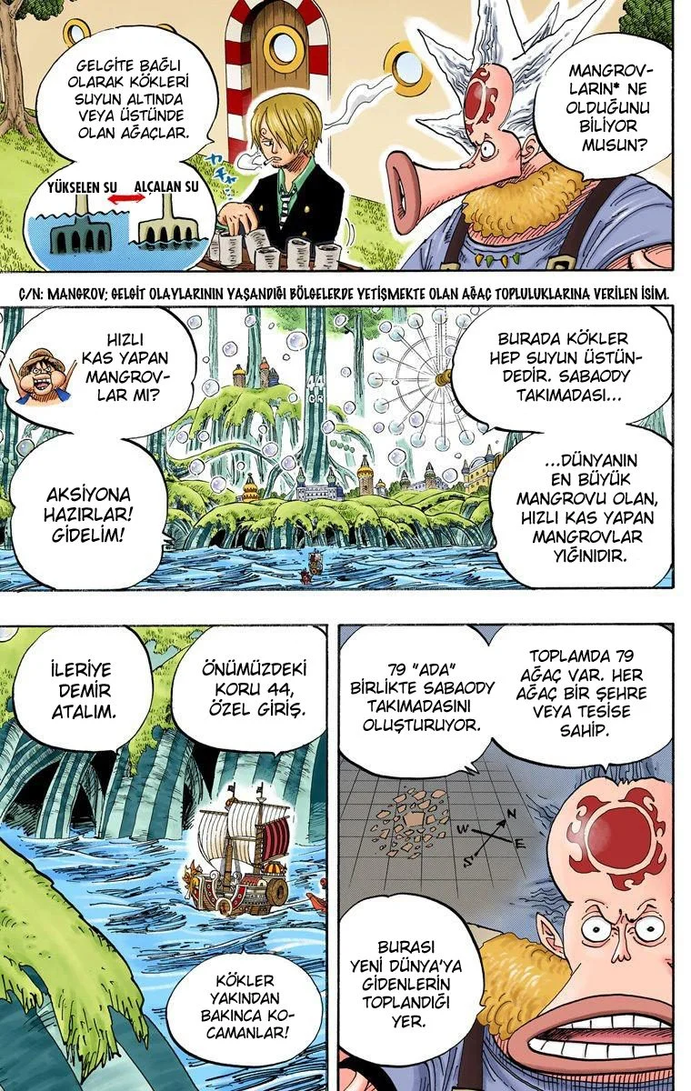 One Piece - Bölüm 496 - Sayfa 14