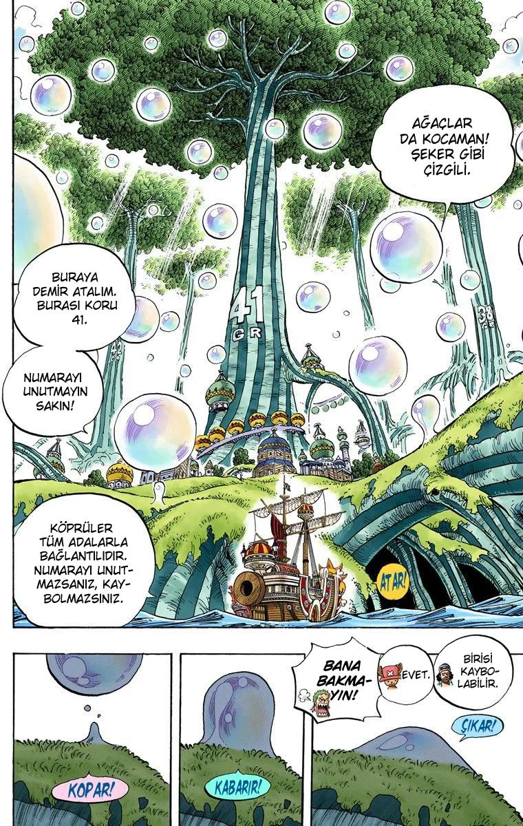 One Piece - Bölüm 496 - Sayfa 15