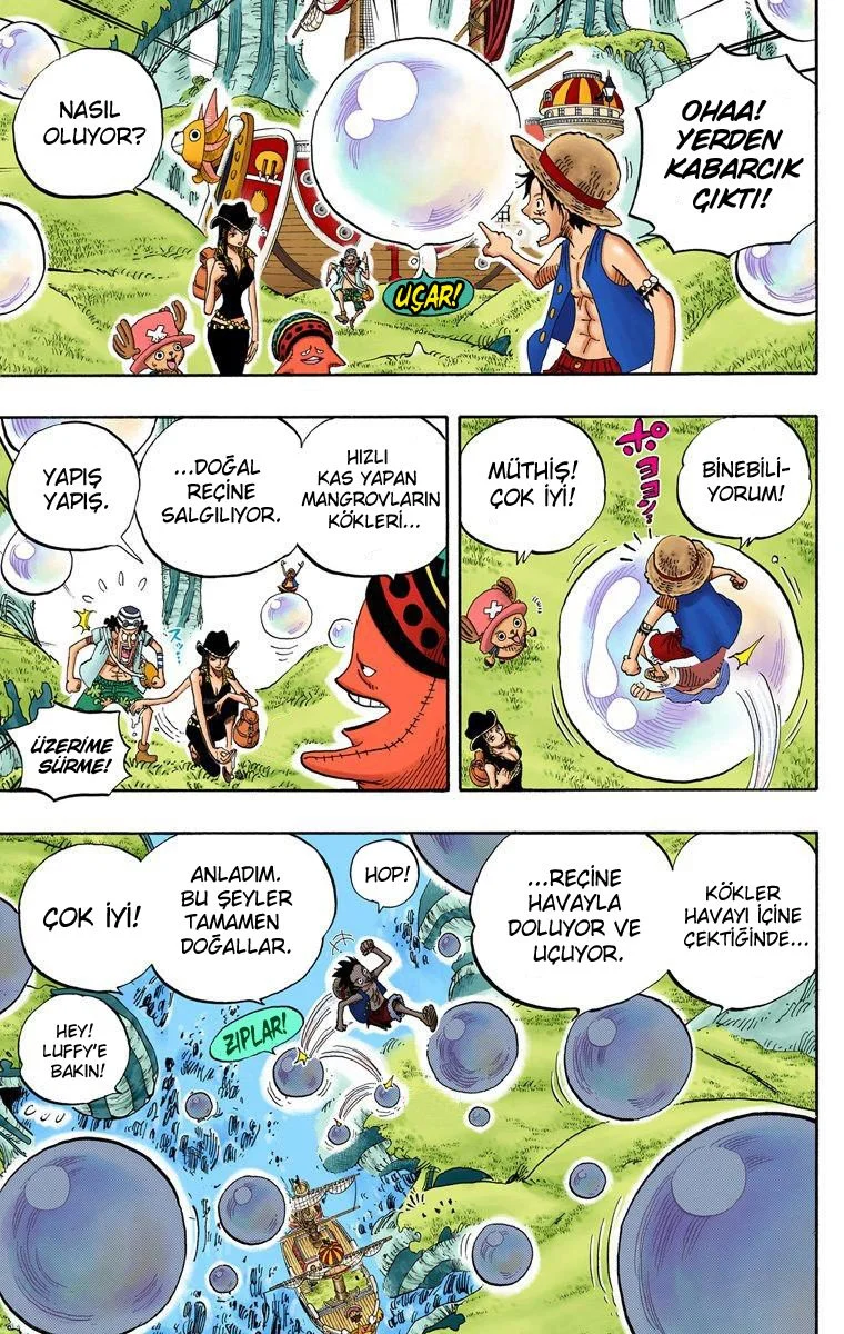 One Piece - Bölüm 496 - Sayfa 16