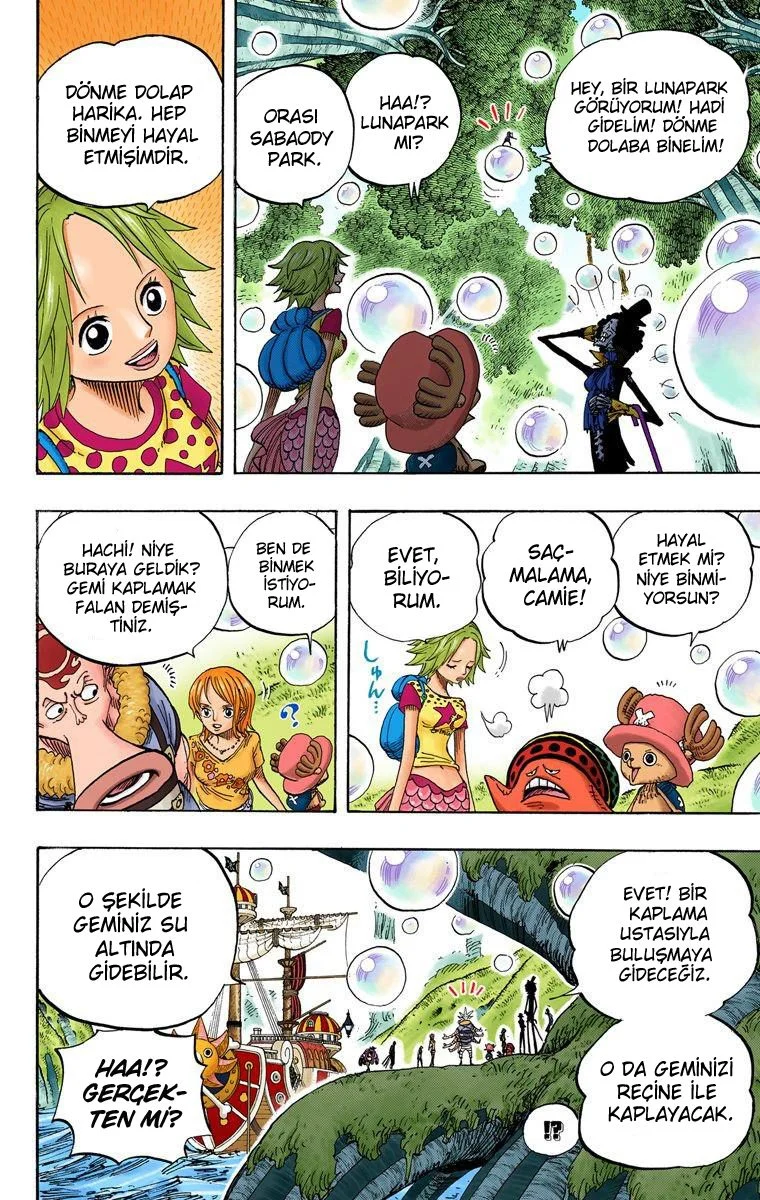 One Piece - Bölüm 496 - Sayfa 17