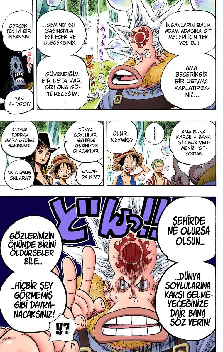 One Piece - Bölüm 496 - Sayfa 18