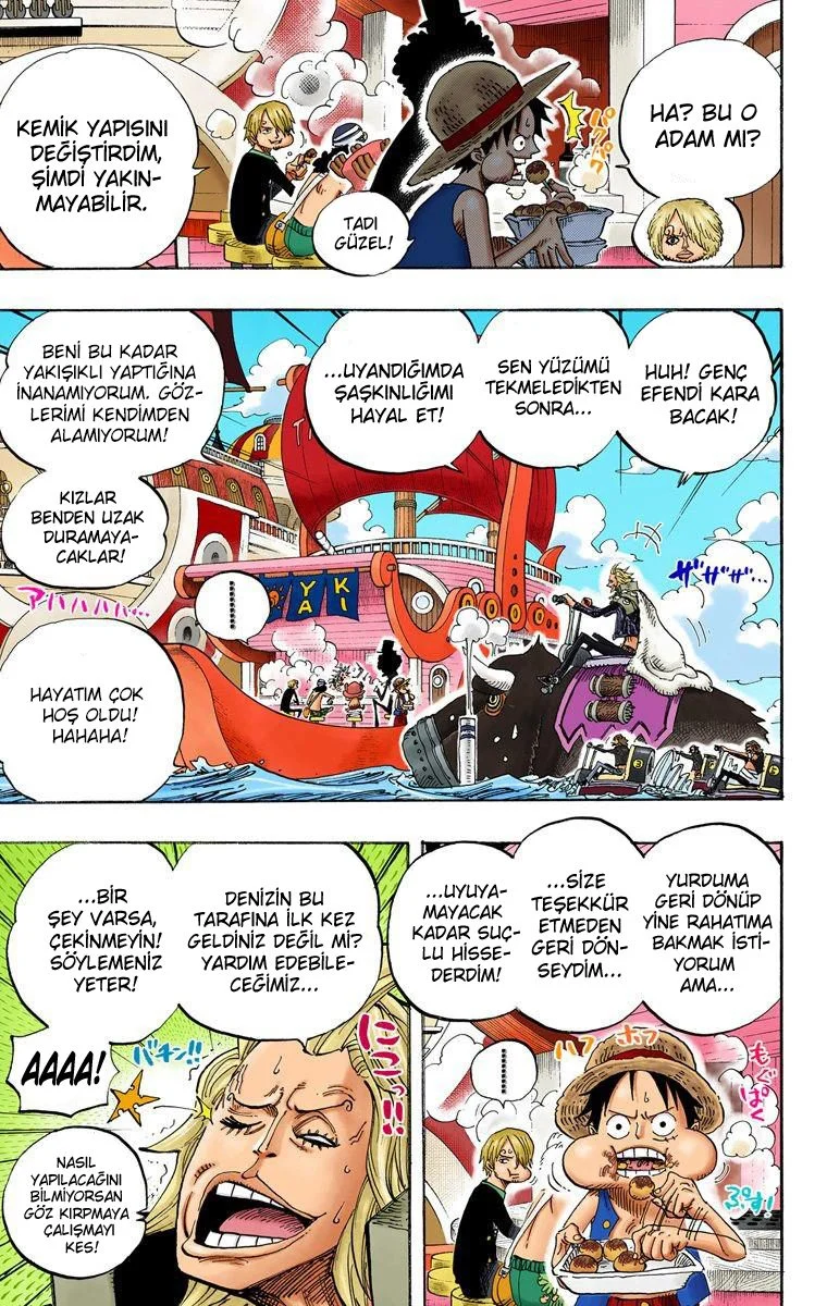 One Piece - Bölüm 496 - Sayfa 5