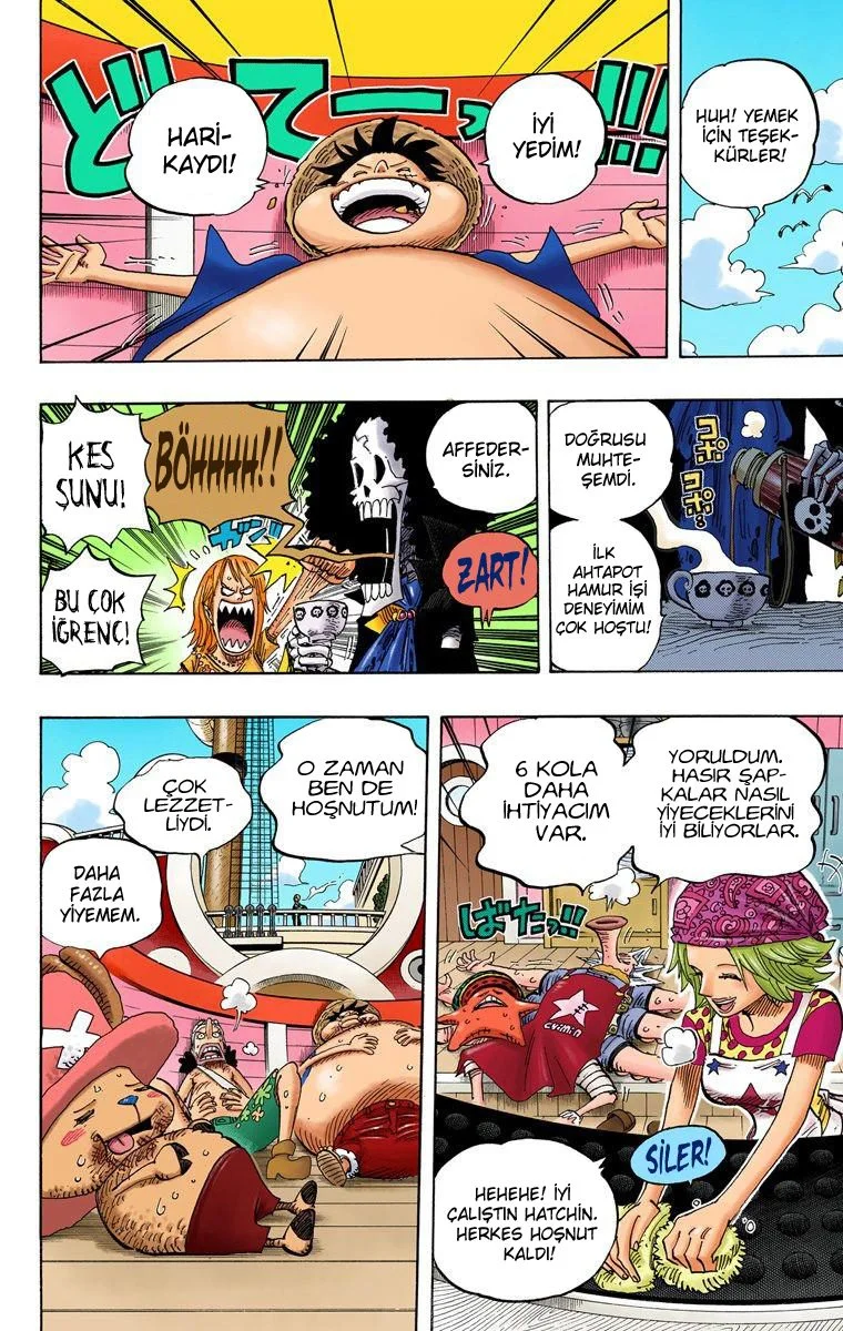 One Piece - Bölüm 496 - Sayfa 8