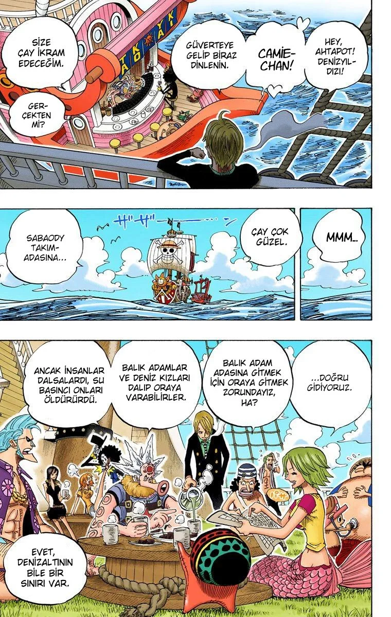 One Piece - Bölüm 496 - Sayfa 9