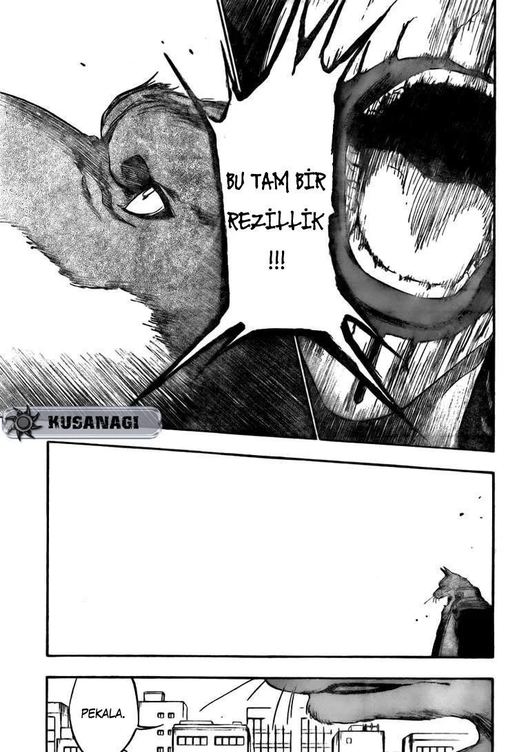 Bleach - Bölüm 385 - Sayfa 14