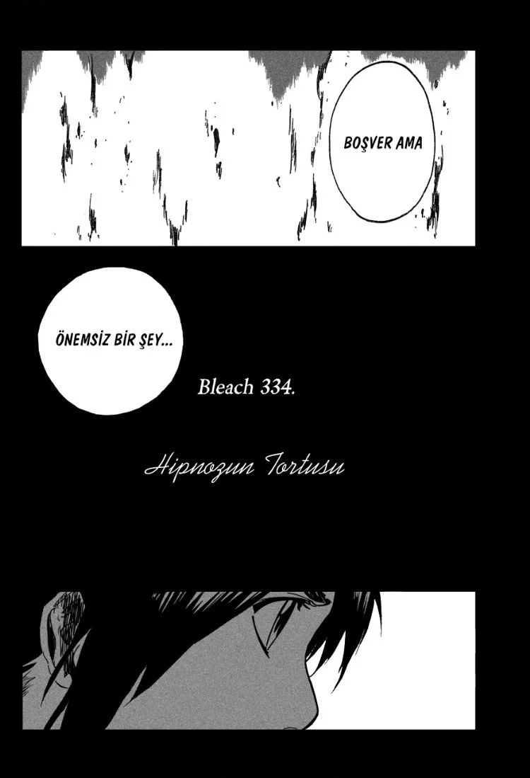 Bleach - Bölüm 334 - Sayfa 4