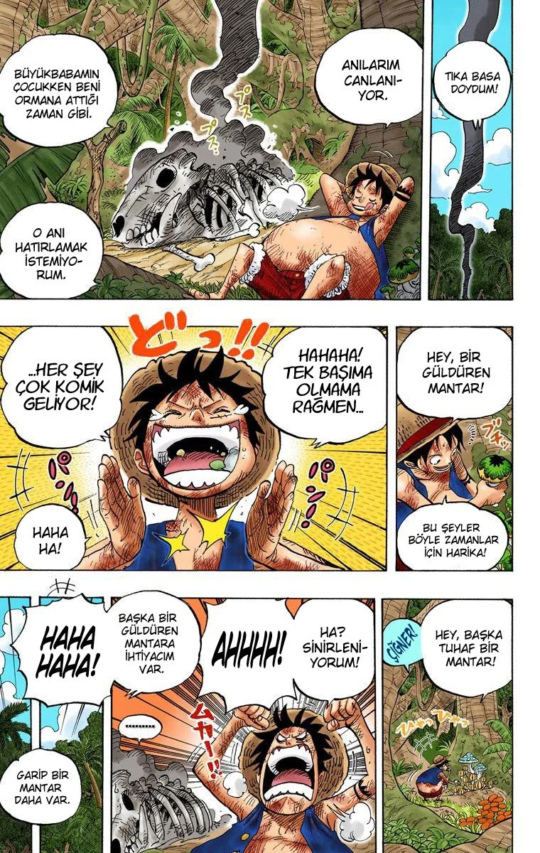 One Piece - Bölüm 514 - Sayfa 13