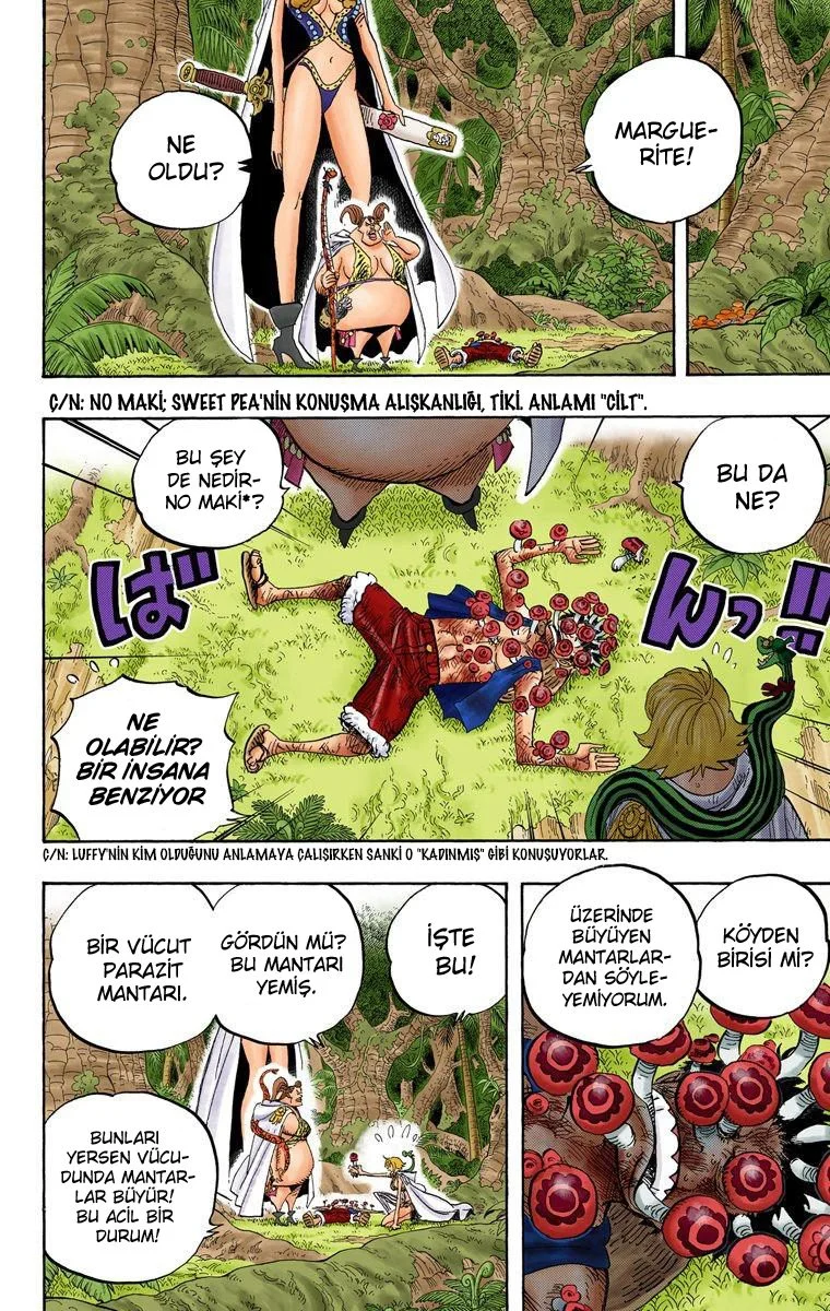 One Piece - Bölüm 514 - Sayfa 14