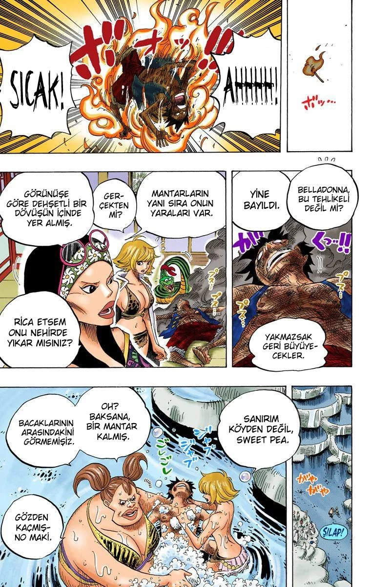 One Piece - Bölüm 514 - Sayfa 17