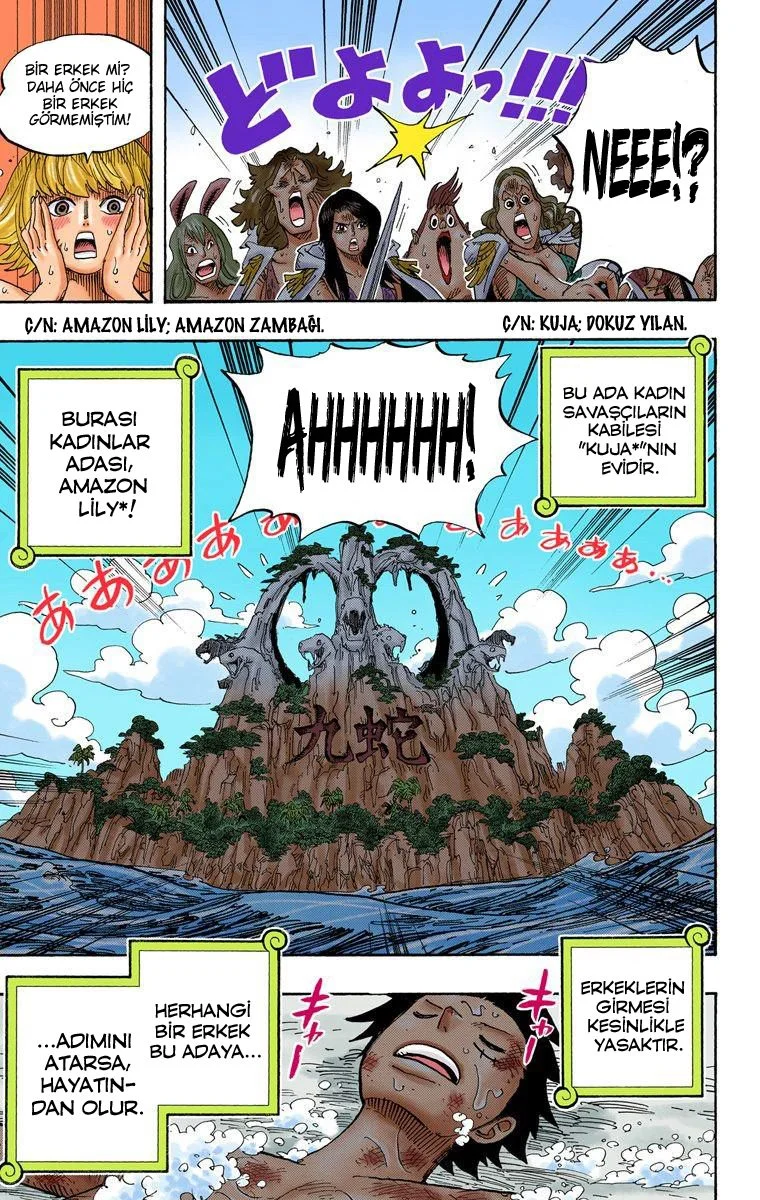 One Piece - Bölüm 514 - Sayfa 19
