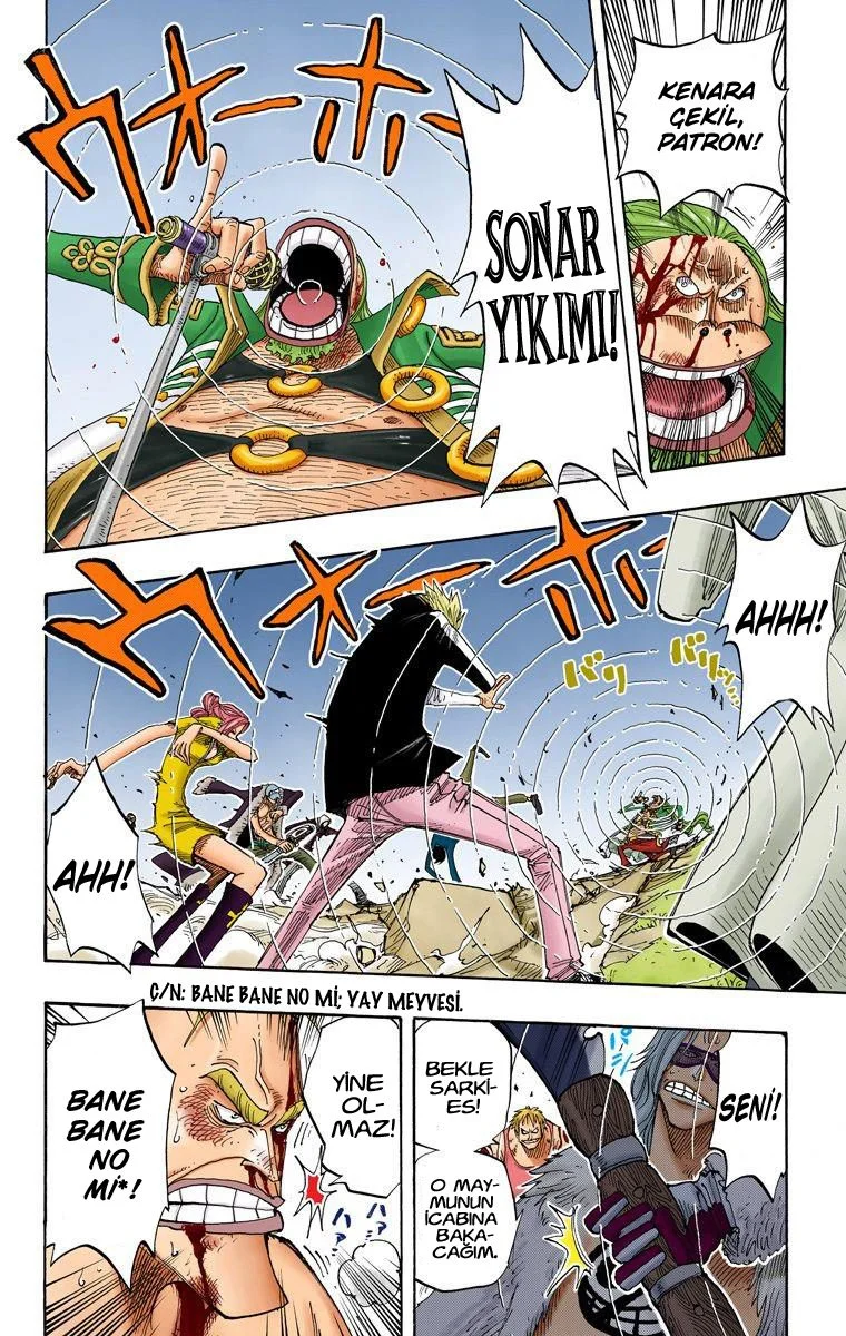 One Piece - Bölüm 231 - Sayfa 10