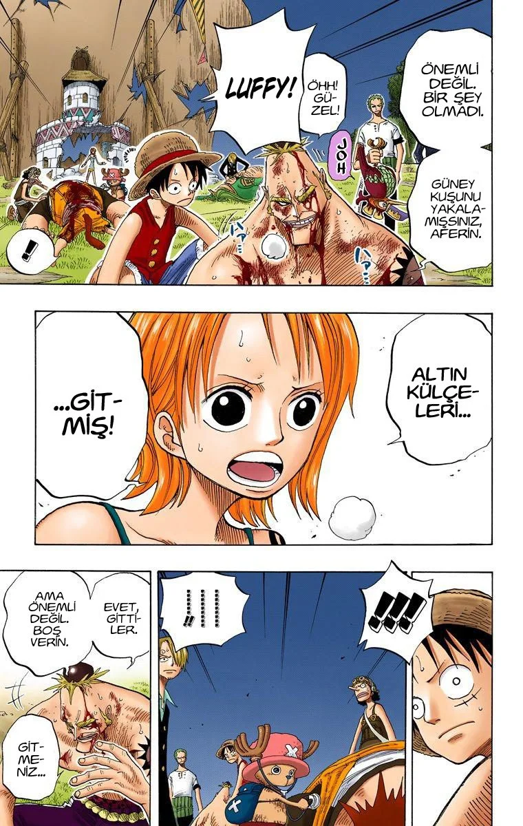 One Piece - Bölüm 231 - Sayfa 17