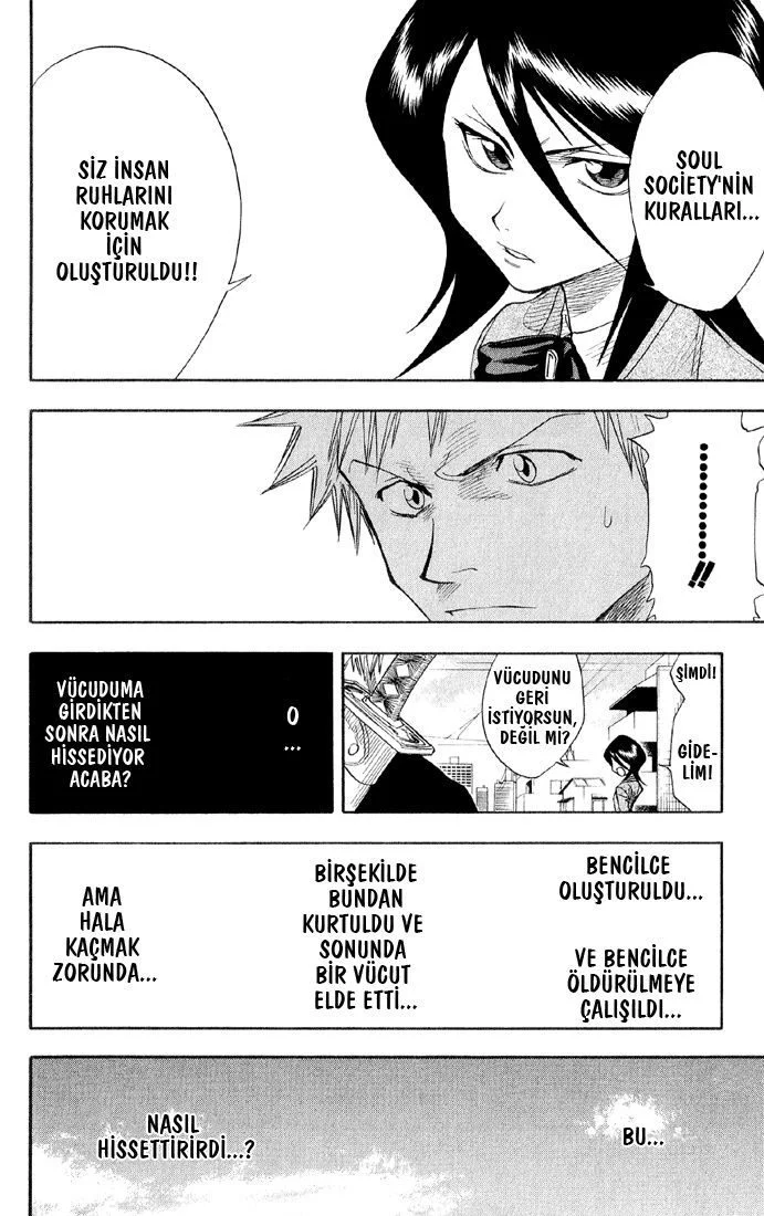 Bleach - Bölüm 15 - Sayfa 13