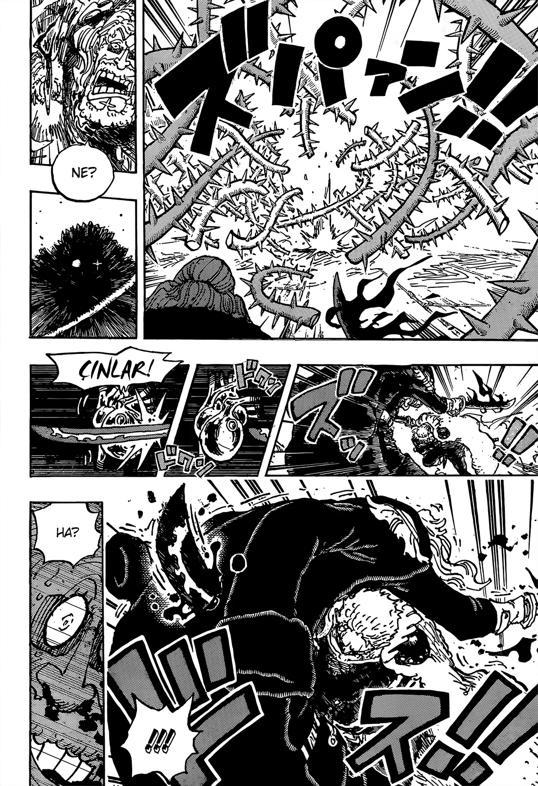 One Piece - Bölüm 1193 - Sayfa 16
