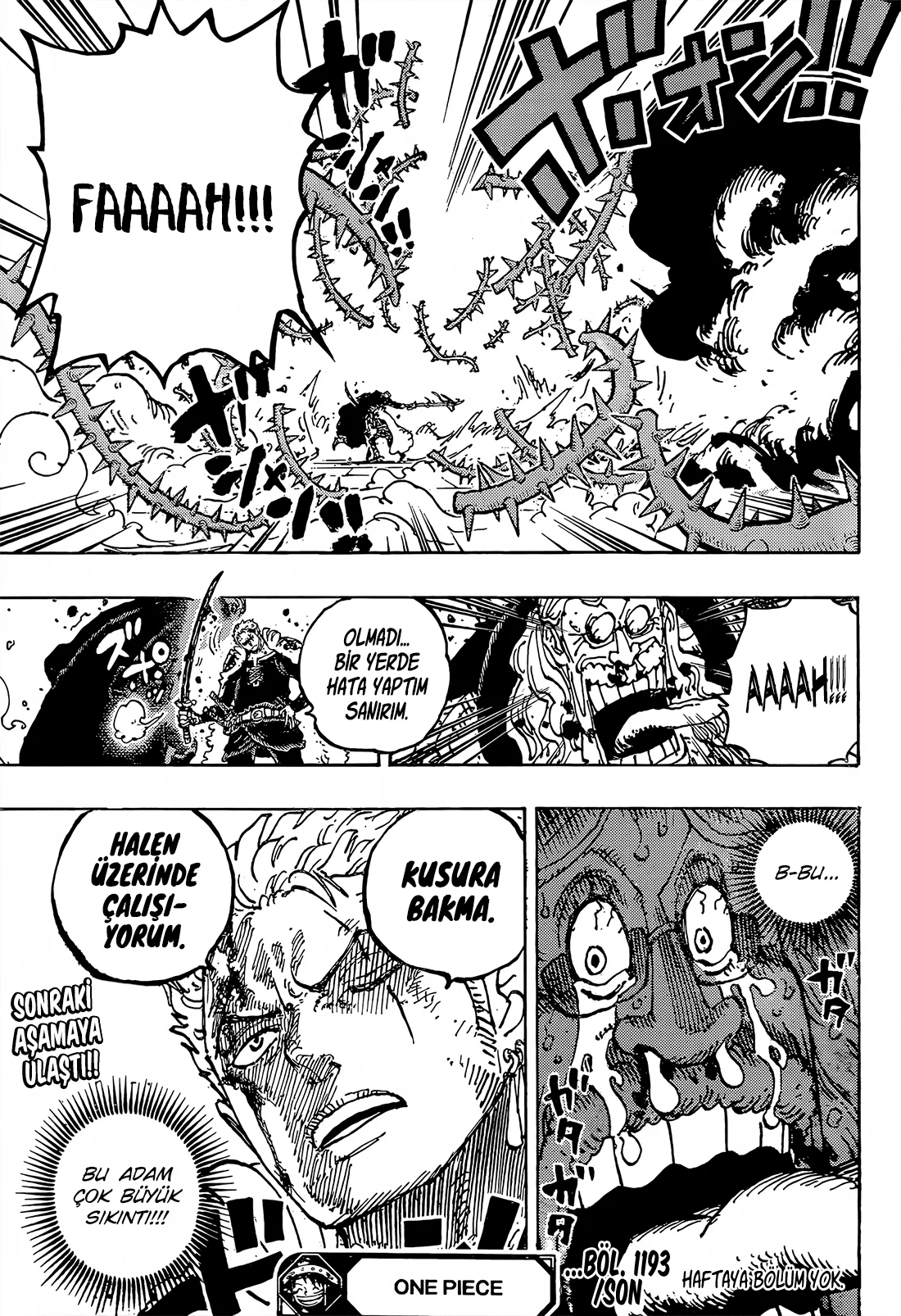 One Piece - Bölüm 1193 - Sayfa 17