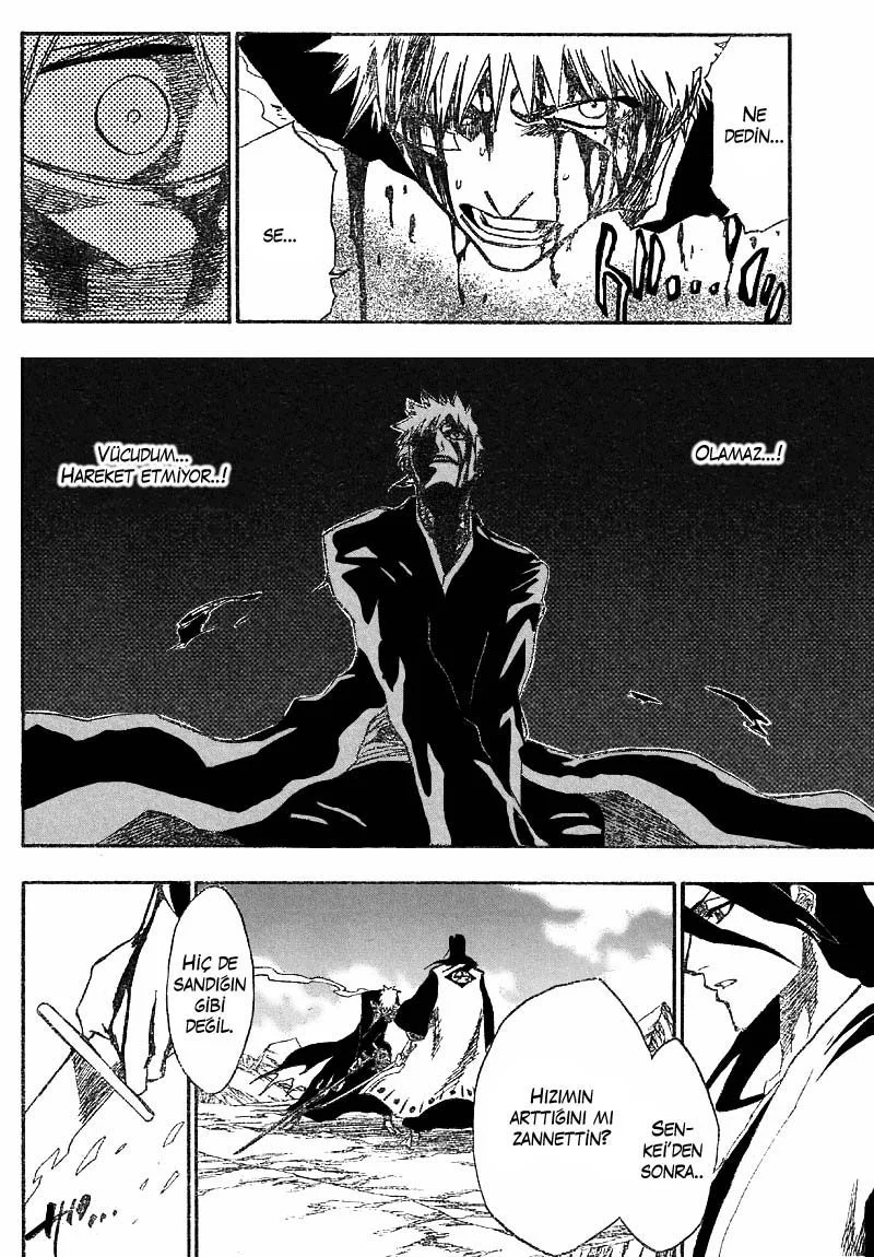 Bleach - Bölüm 165 - Sayfa 13