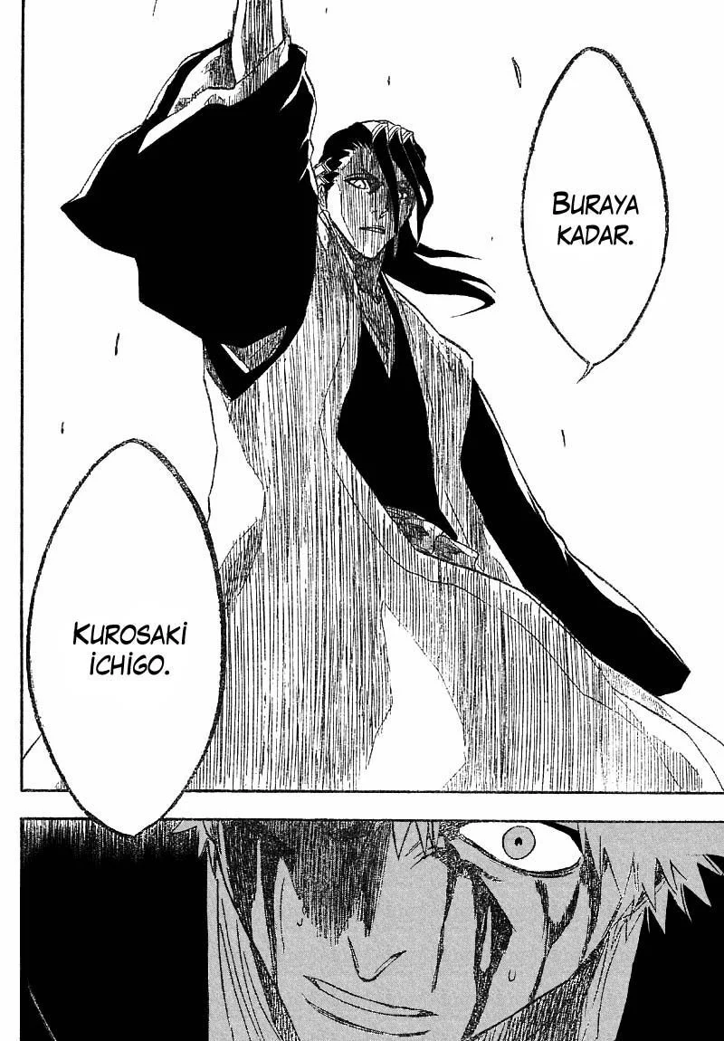 Bleach - Bölüm 165 - Sayfa 15