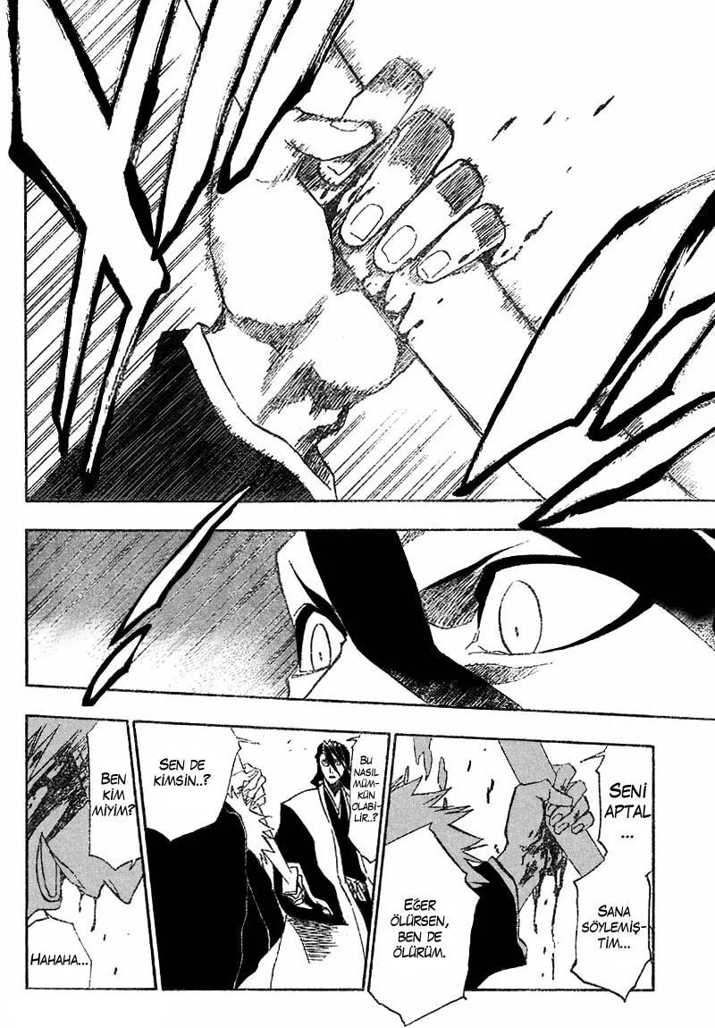 Bleach - Bölüm 165 - Sayfa 17