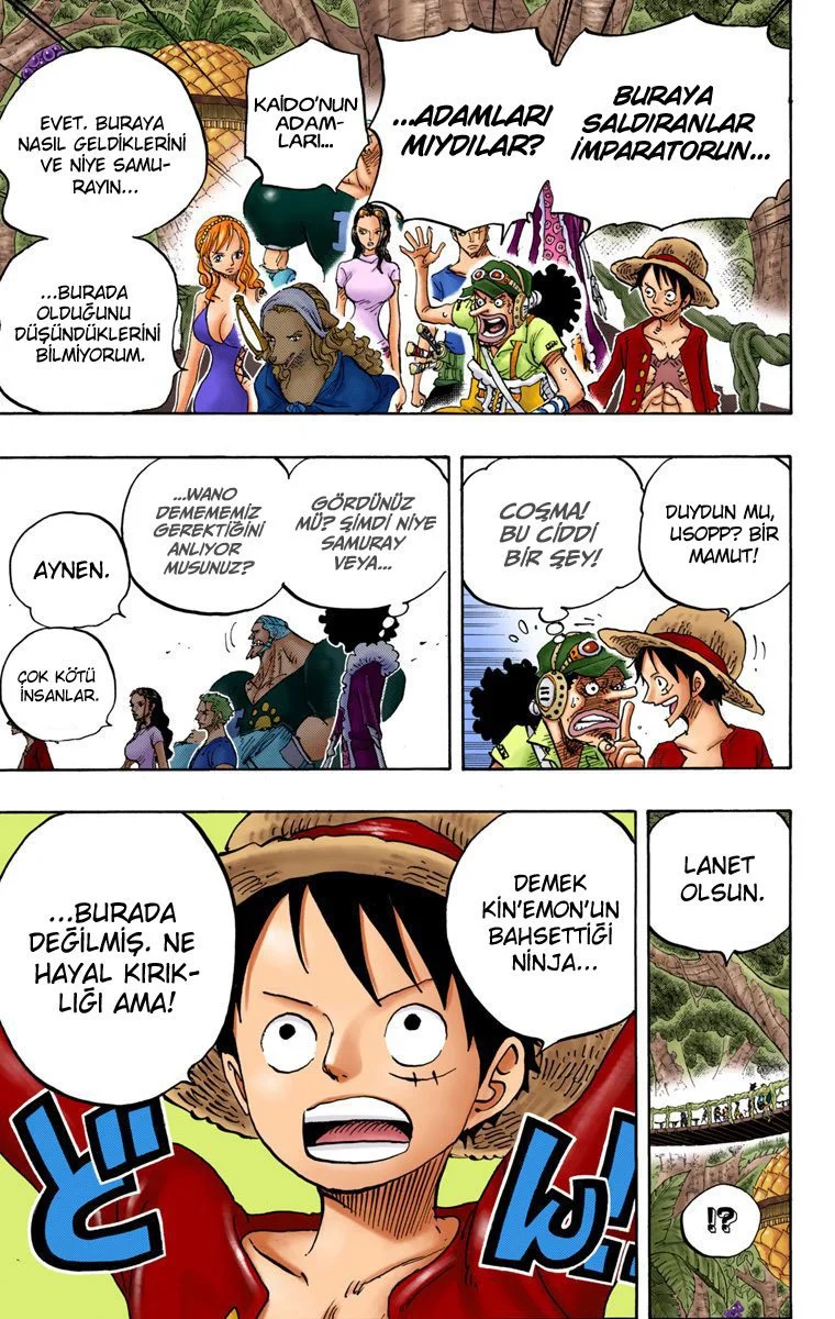 One Piece - Bölüm 808 - Sayfa 10