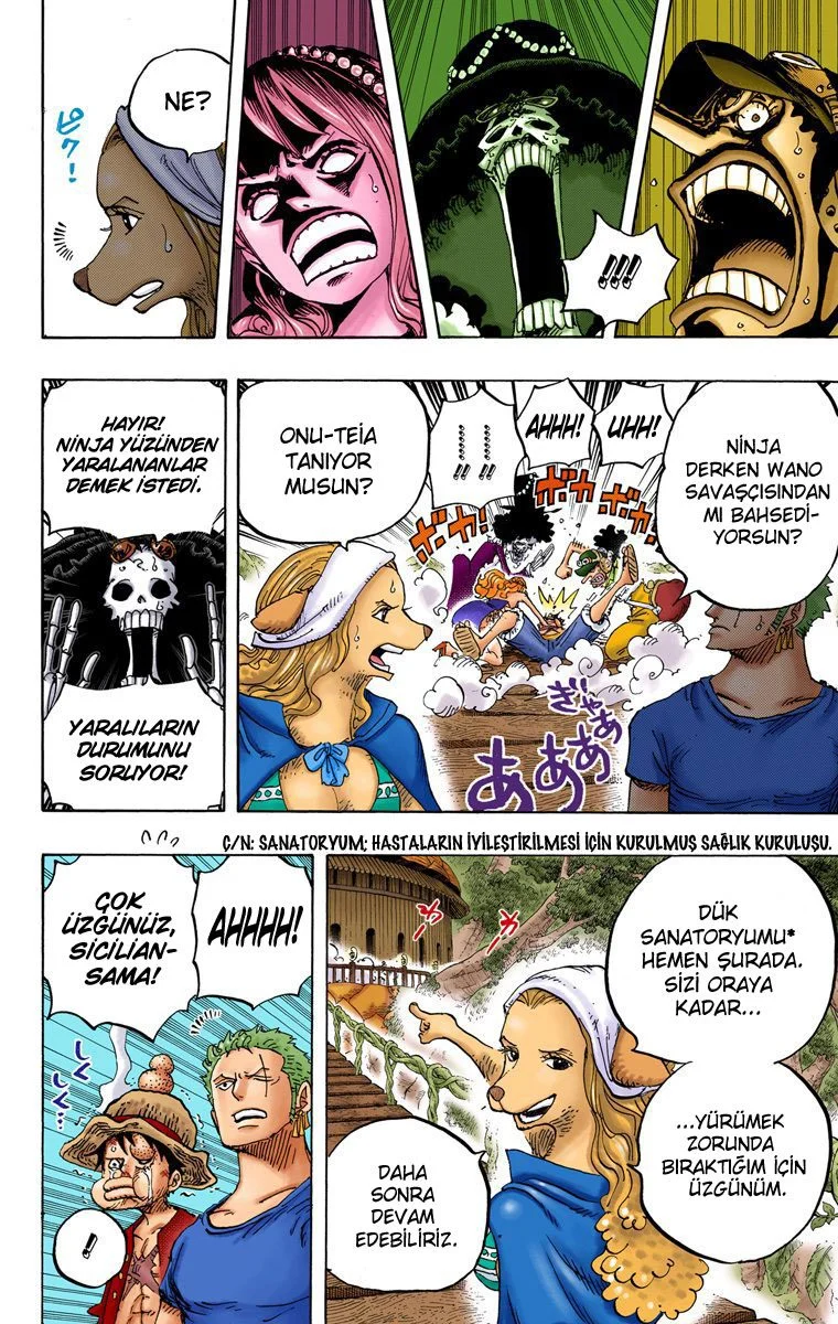 One Piece - Bölüm 808 - Sayfa 11