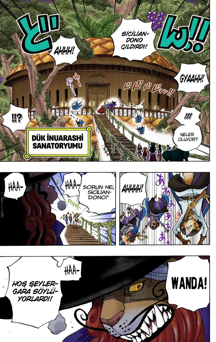One Piece - Bölüm 808 - Sayfa 12