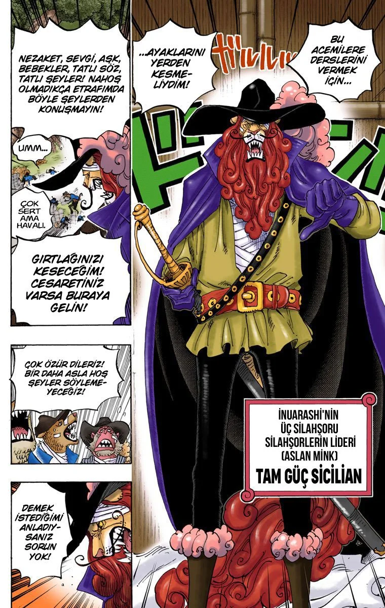 One Piece - Bölüm 808 - Sayfa 13