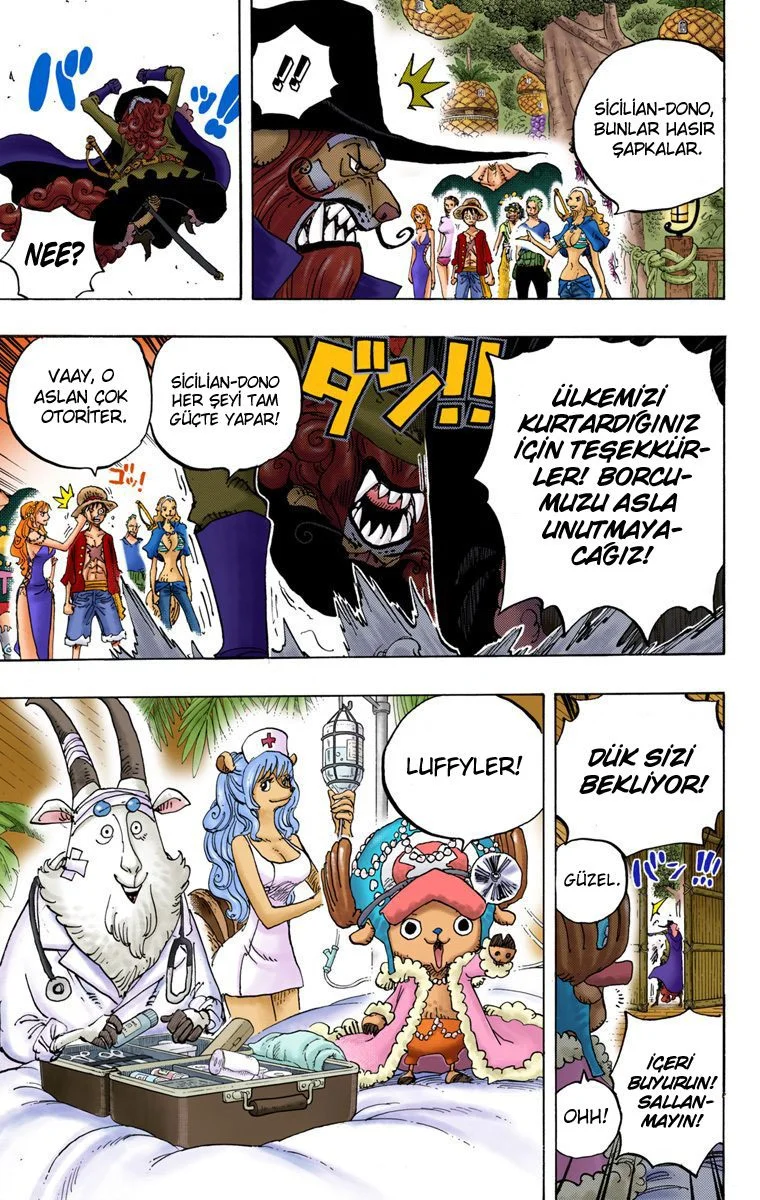 One Piece - Bölüm 808 - Sayfa 14
