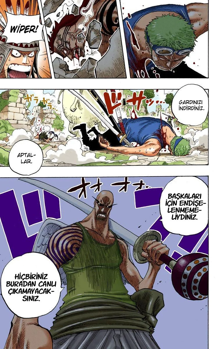 One Piece - Bölüm 269 - Sayfa 19